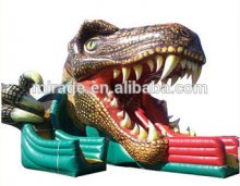 interesting inlatable slide game